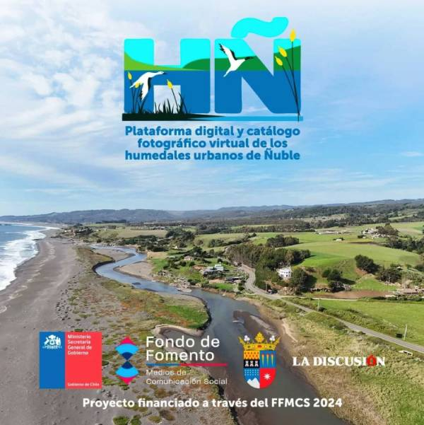 Humedales urbanos de Ñuble: seis sitios claves para la biodiversidad regional